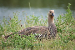 Killikus&reg; Fotographie